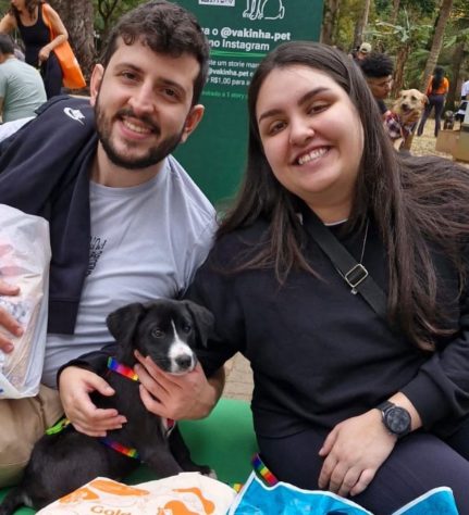 ONG Desabandone – Reprodução/@desabandone