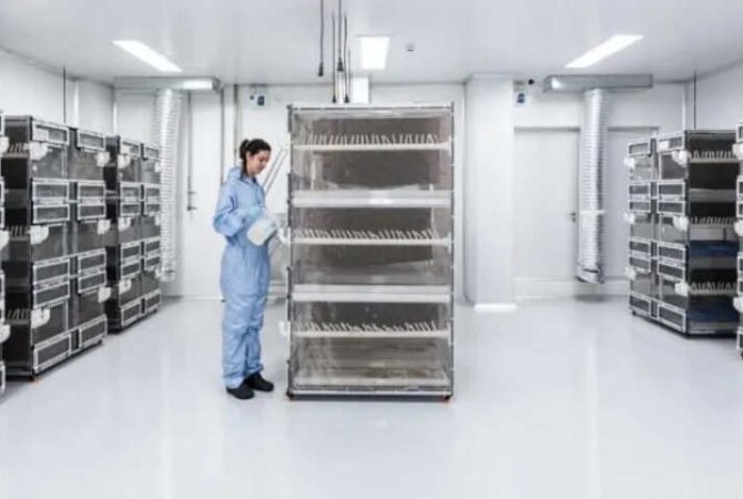 Biofábrica vai criar 190 milhões de mosquitos para combater a dengue; entenda