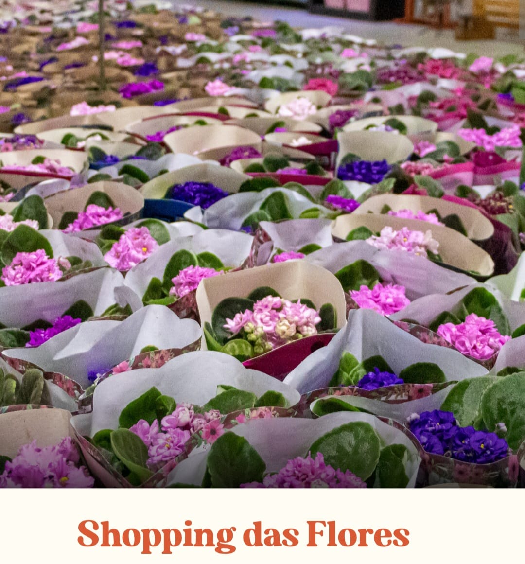 O Shopping das Flores é um dos espaços mais visitados da Expoflora, reunindo milhares de espécies e arranjos florais para venda.
Lá, os visitantes podem adquirir desde mudas e vasos até plantas ornamentais raras e produtos de jardinagem.