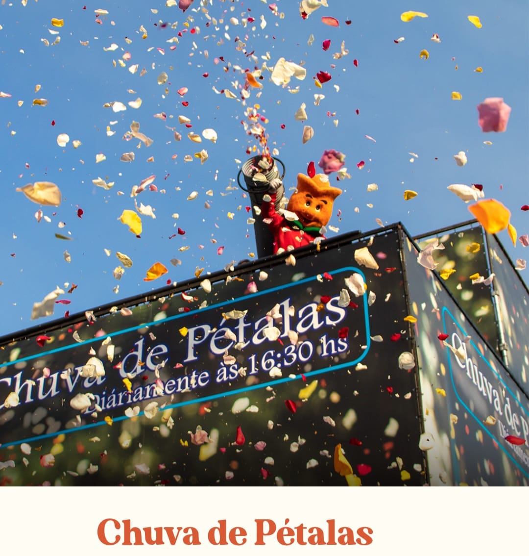 E a chuva de pétalas de flores é um dos destaques. Muitos consideram o momento mais emocionante da Expoflora, quando milhares de pétalas coloridas são lançadas sobre o público. O espetáculo simboliza boas-vindas e sorte, encantando visitantes com um show de cores e perfumes.