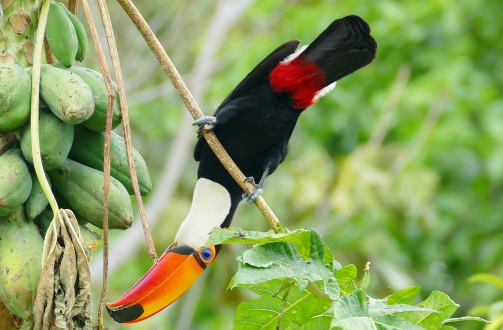 A região é um paraíso para os 