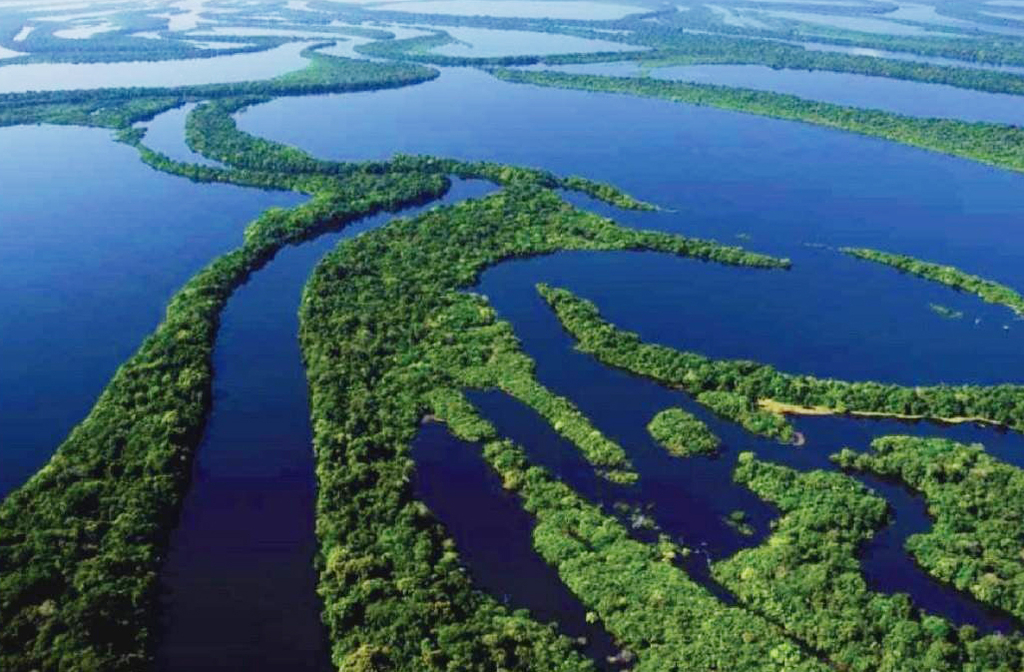 Com mais de 1.400 ilhas, o Arquipélago de Mariuá se estende por cerca de 140 quilômetros de comprimento e 20 quilômetros de largura, entre Barcelos e Santa Isabel do Rio Negro. Assim, ostenta o título de maior arquipélago fluvial do mundo.