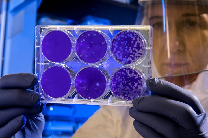 Cientista, bactéria - CDC/Unsplash