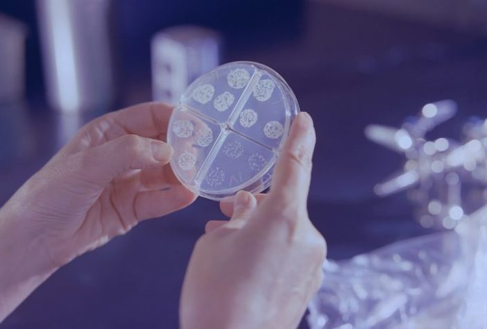 Cientista, bactéria - CDC/Unsplash