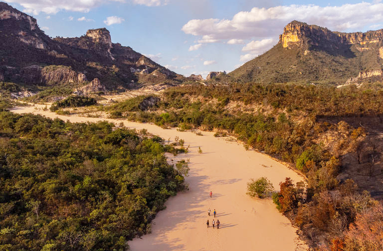 COP30: pesquisadores cobram protagonismo e proteção do Cerrado