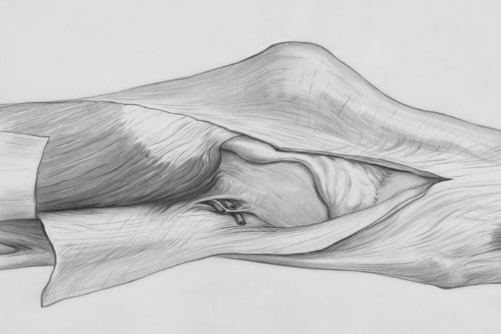 Joelho - Europeana/Unsplash