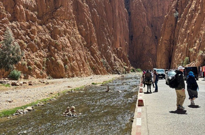 Caminhada entre gigantes