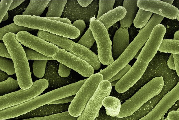 As projeções indicam que as mortes diretas por superbactérias podem chegar a 1,9 milhão anualmente até 2050.

