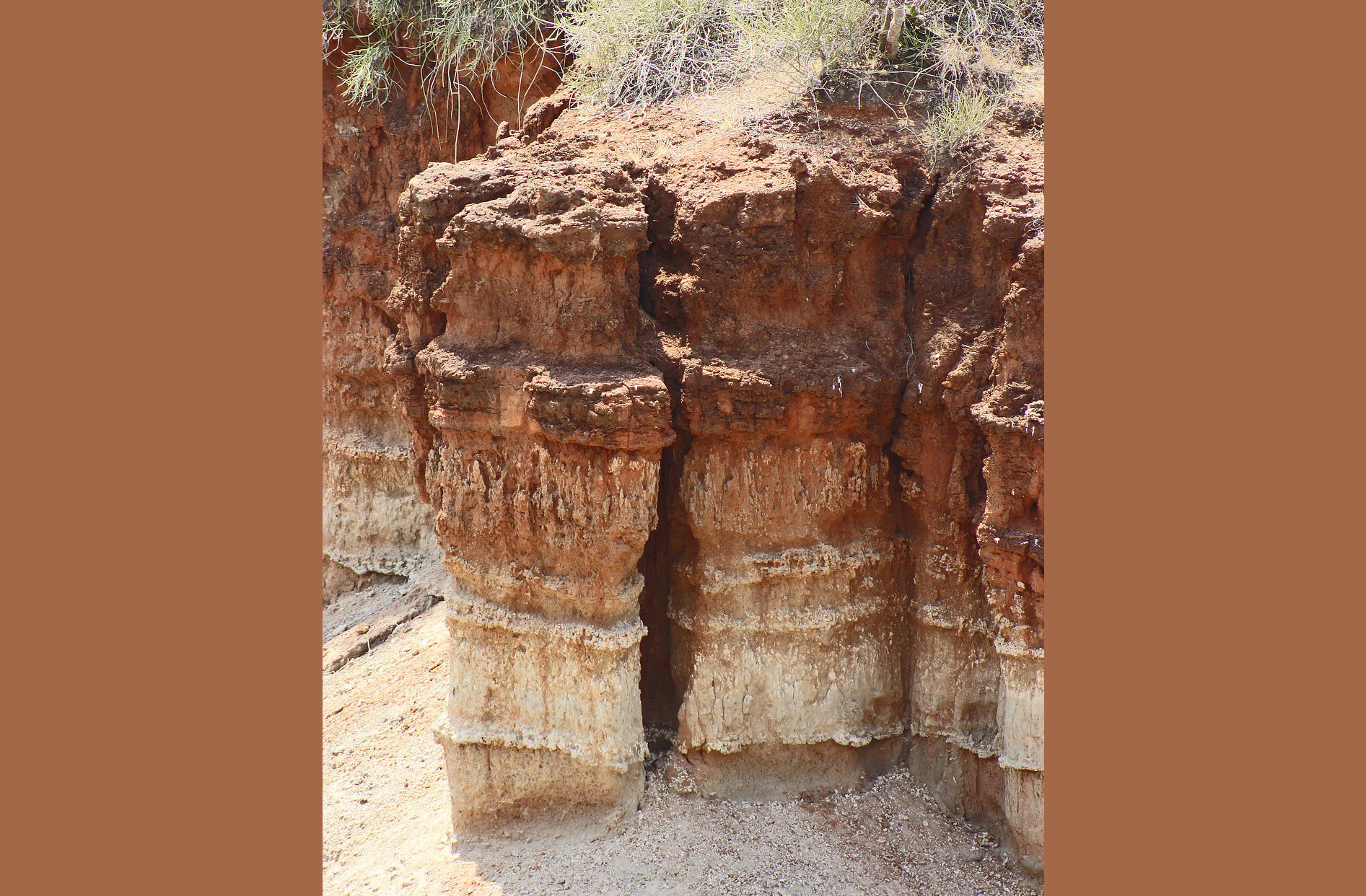 As camadas geolÃ³gicas de Olduvai funcionam como um livro da prÃ©-histÃ³ria, permitindo datar com precisÃ£o os fÃ³sseis e reconstruir a linha do tempo da evoluÃ§Ã£o.