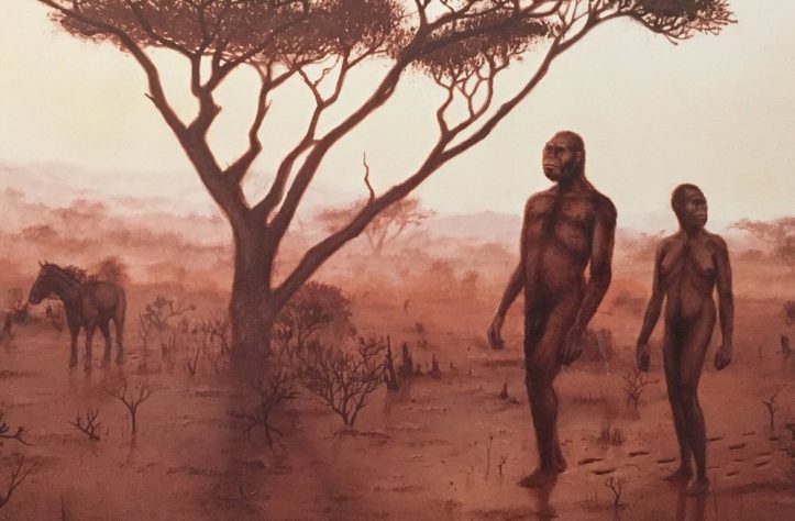 Caminhos migratórios