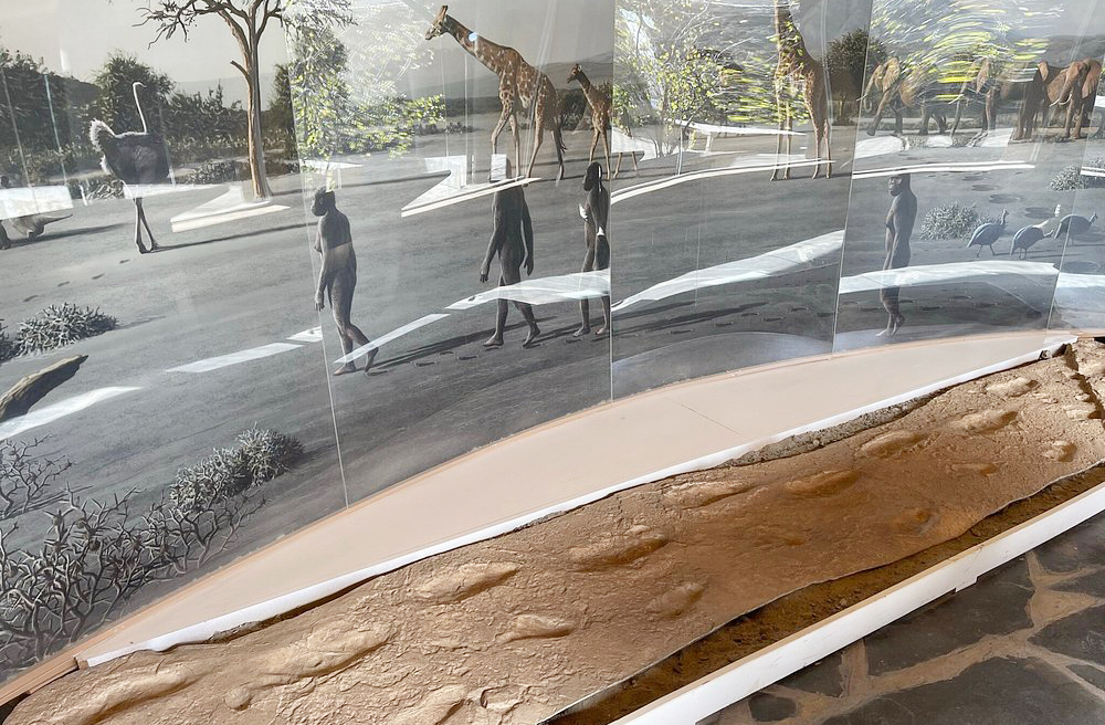 O desfiladeiro de Olduvai é símbolo da busca pelo entendimento das origens humanas, conectando ciência, história e identidade.