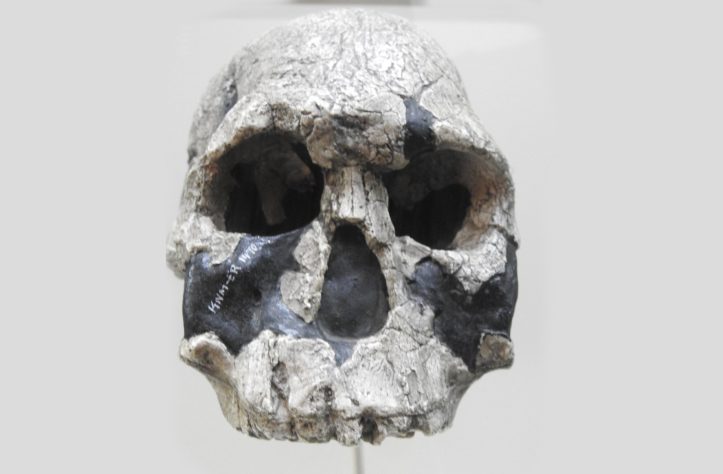 Importância científica