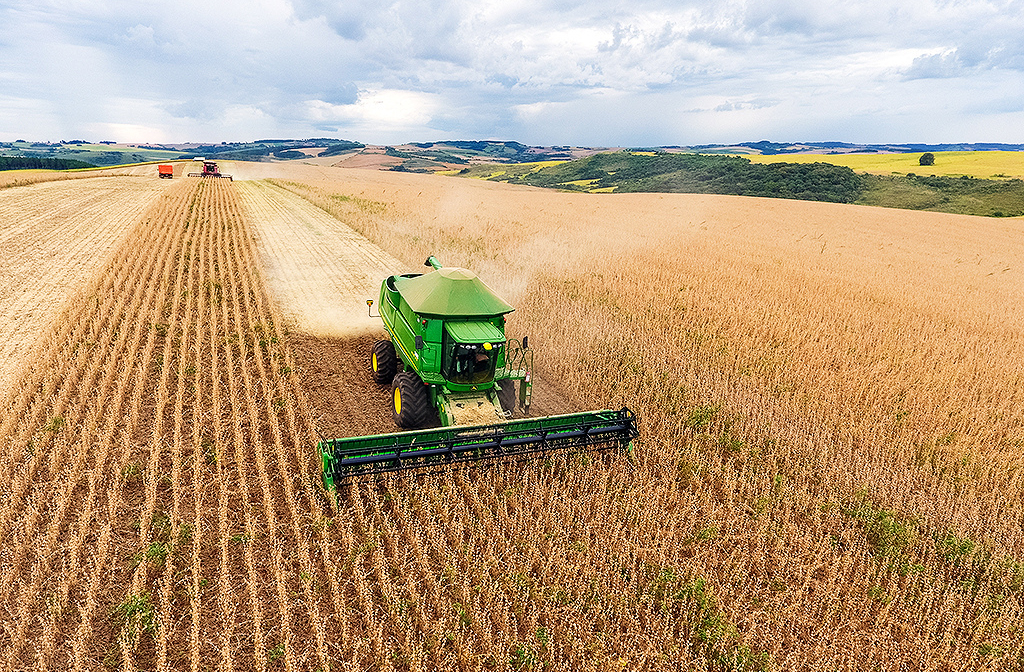 As lavouras de soja e milho, por sua vez, garantem produtividade e sustentabilidade, com técnicas modernas que respeitam o meio ambiente.