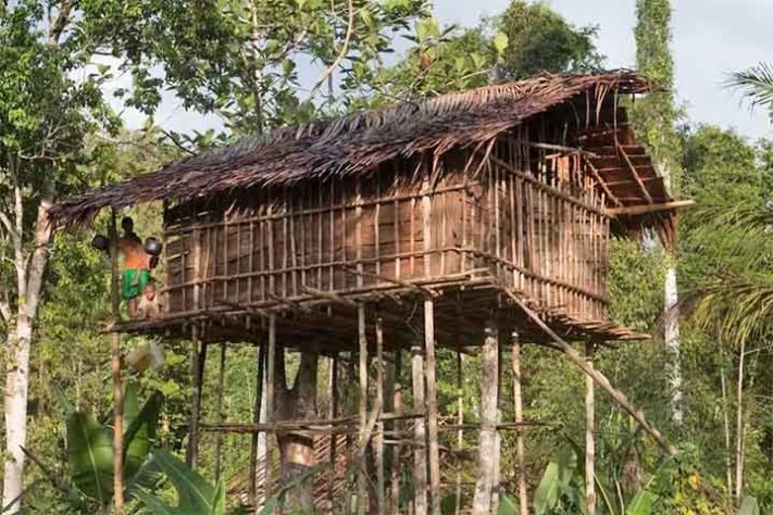 Tribo dos Korowai, povo recluso na floresta tropical da Papua, Indonésia - Carsten ten Brink/Creative Commons