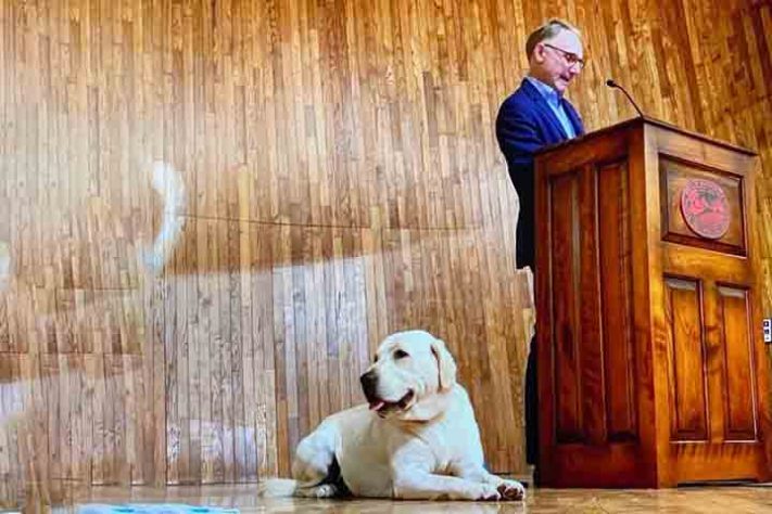 Perfil do escritor Dan Brown