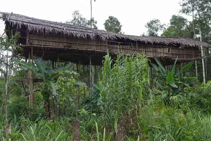 Tribo dos Korowai, povo recluso na floresta tropical da Papua, Indonésia - Carsten ten Brink/Creative Commons