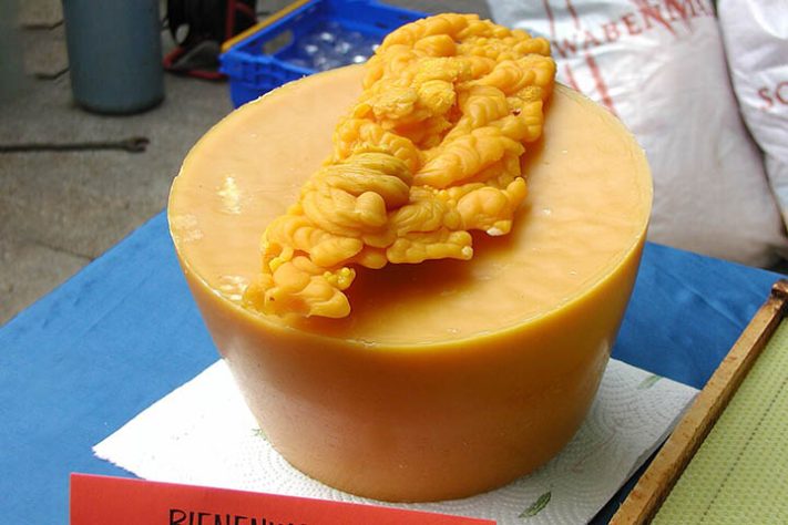 As múltiplas utilidades da cera de abelha