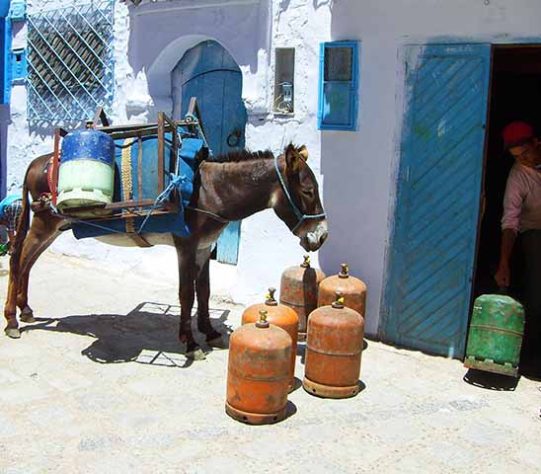 Chefchaouen, a 'cidade azul do Marrocos'