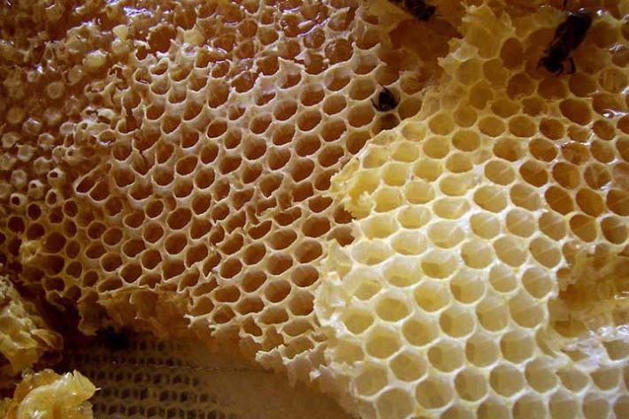 As múltiplas utilidades da cera de abelha