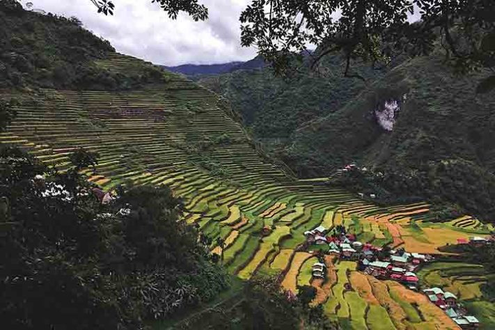 Terraços de arroz de Banaue,Província de Ifugao, Filipinas -Seventide /Wikimédia Commons