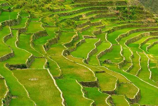 Conheça os ‘terraços de arroz de Banaue’, apelidados de ‘8ª maravilha do mundo’