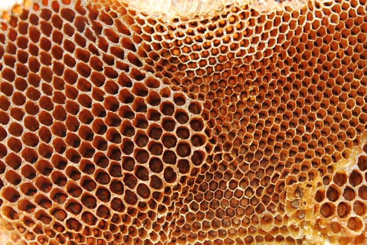 Projetos de apicultura sustentável e orgânica vêm ganhando espaço, valorizando práticas que mantenham a biodiversidade e protejam os polinizadores - agentes essenciais para a agricultura global.
