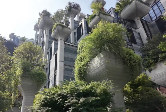 'Sky Gardens', Megacomplexo com mil árvores em colunas chama a atenção em Xangai, na China - Reprodução/YouTube