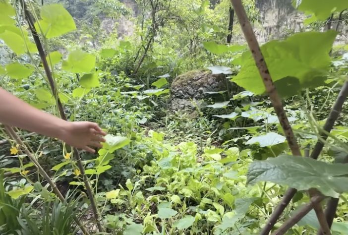 Família vive isolada em ilha no meio de um rio profundo e cercado por cânions - Reprodução/YouTube