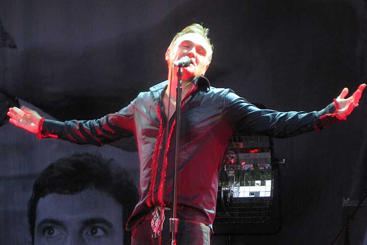 Suas letras expressam desdém por muitos elementos da sociedade britânica, que incluem o governo, a igreja, o sistema educacional, a família real, o consumo de carne, o dinheiro, o gênero, as discotecas, a fama e os relacionamentos