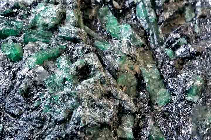 O governo declarou que o valor obtido com uma possível venda será destinado ao Tesouro de Madagascar.