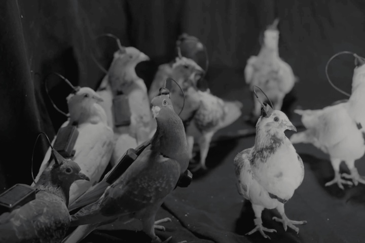 Essa não é a primeira vez que a empresa se envolve em um projeto controverso envolvendo o controle animal.