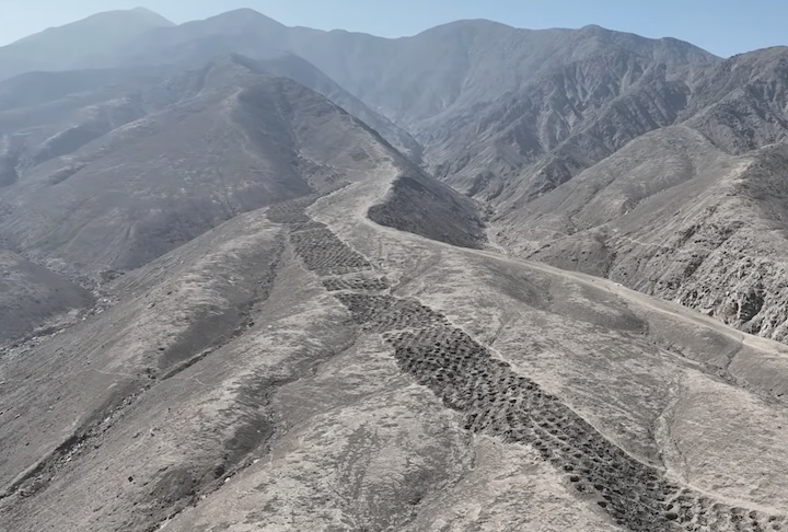 A análise do solo dentro das cavidades revelou vestígios de juncos (usados em cestaria) e polens de milho.