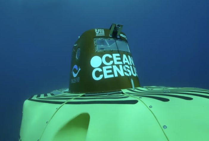 Projeto Censo dos Oceanos - Divulgação/Ocean Census