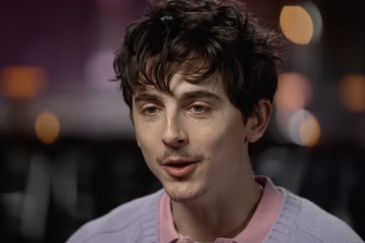 Chalamet ainda opinou sobre o chamado 