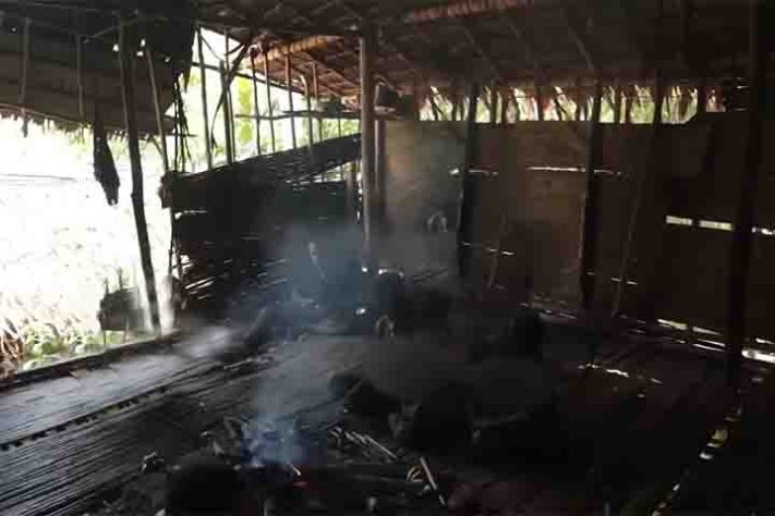 Tribo dos Korowai, povo recluso na floresta tropical da Papua, Indonésia - Reprodução do Youtube