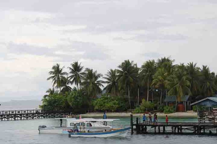 Papua (província indonésia) - Tribo dos Korowai, povo recluso na floresta tropical da Papua, Indonésia - Imagem de blackinkstudio07 por Pixabay