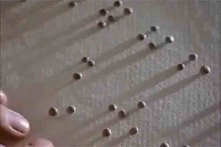O garoto que inventou o braille
