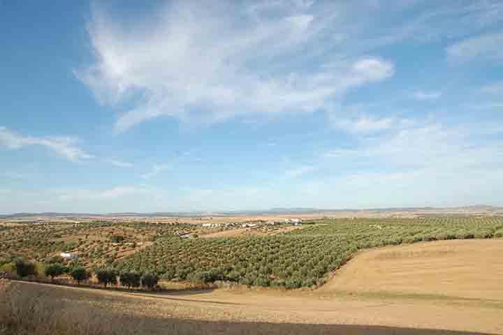 A região abriga ecossistemas variados, como florestas de sobreiros (árvores de cortiça), matagais mediterrâneos e até dunas costeiras no seu litoral. 
