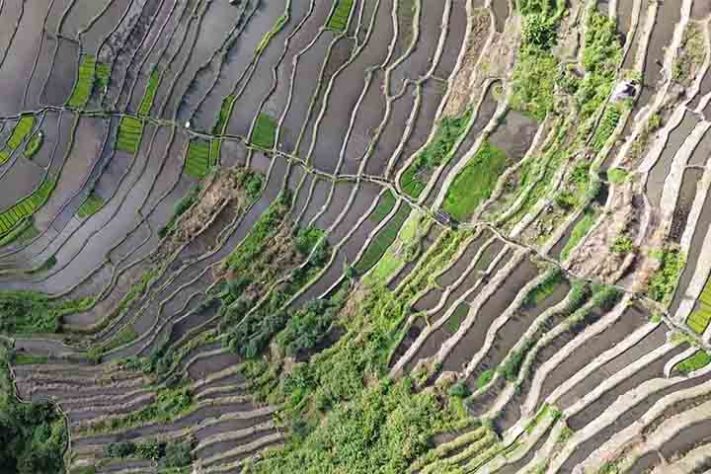Terraços de arroz de Banaue,Província de Ifugao, Filipinas - Reprodução do youtube Canal AroundtheGlobe197