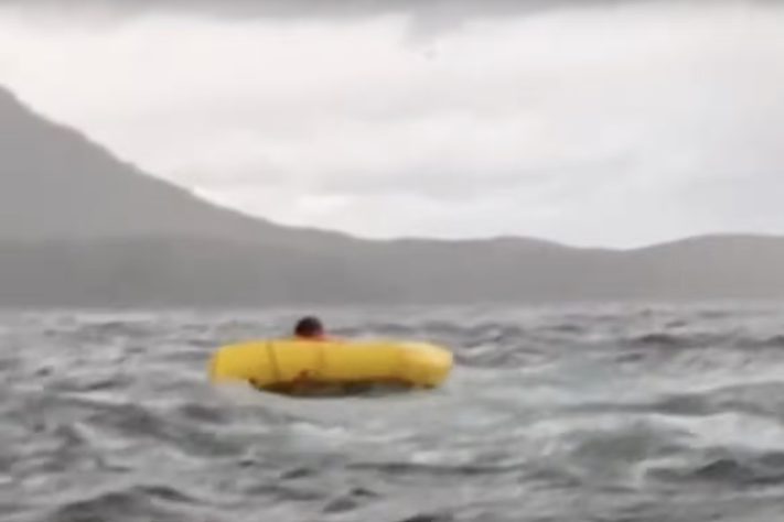 Homem é engolido por baleia-jubarte no Mar do Chile - Montagem/Reprodução