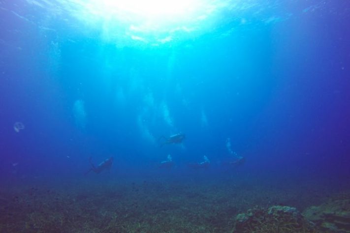 Fundo do mar - Freepik/tirachard