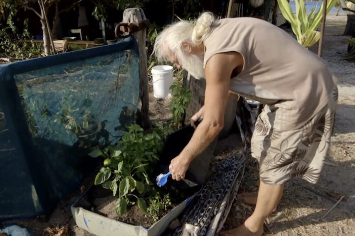 David Glasheen - Reprodução/YouTube