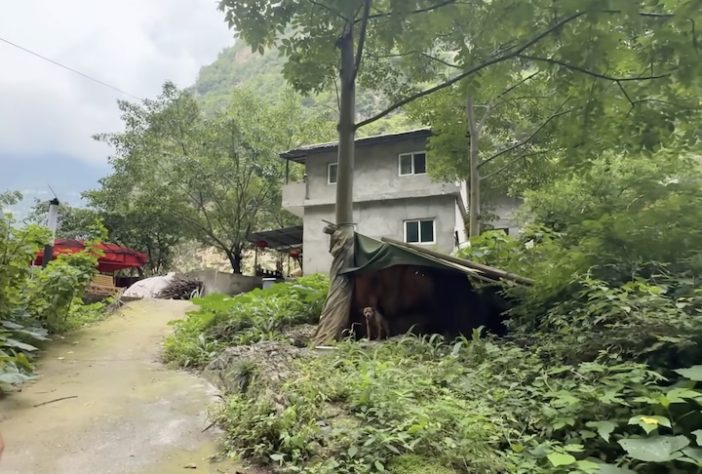 Família vive isolada em ilha no meio de um rio profundo e cercado por cânions - Reprodução/YouTube