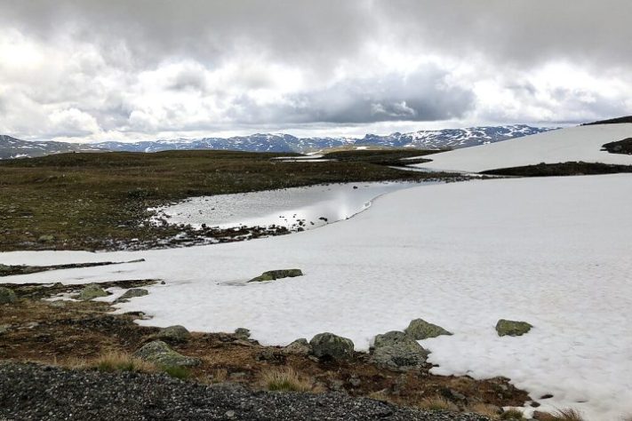 Aurlandsfjellet, condado de Vestland, Noruega - Wikimedia Commons/Davide Mauro