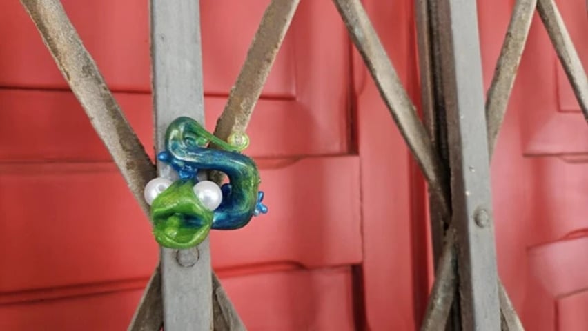 Miniaturas de camaleões viram “caça urbana” em Vitória