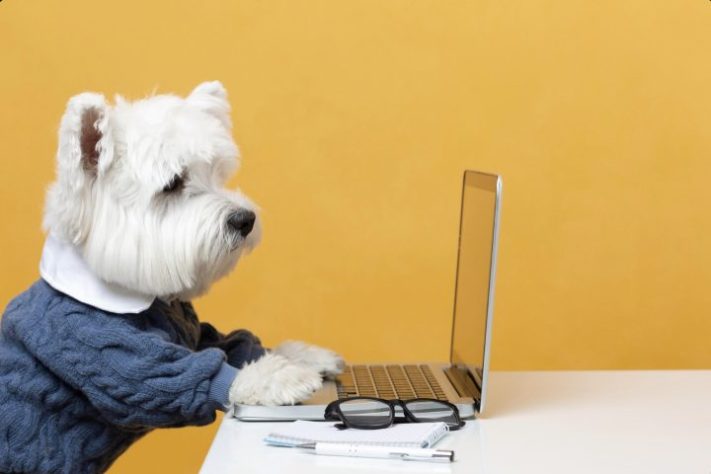 Pets, animais de estimação - Freepik