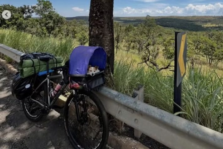Ciclista percorre 12 mil km por 11 estados com cachorra após superar câncer em estágio terminal - Reprodução @ociclistaviajante