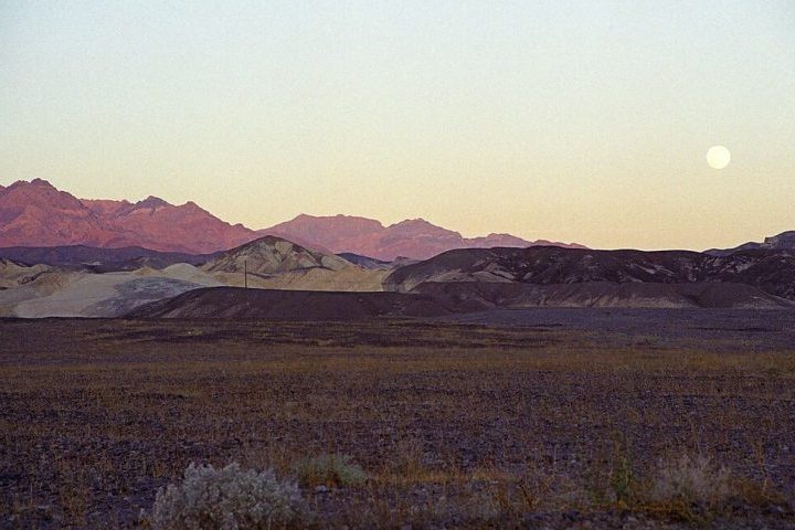 Desde então, o tema 