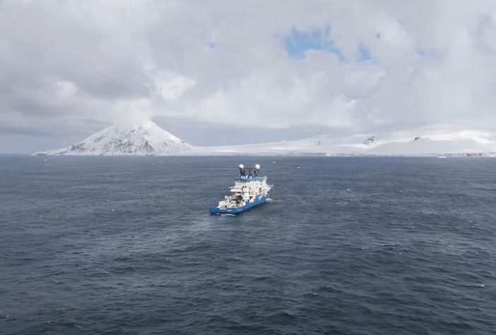 Expedição do Censo dos Oceanos descobre novas espécies marinhas - Divulgação/Ocean Census