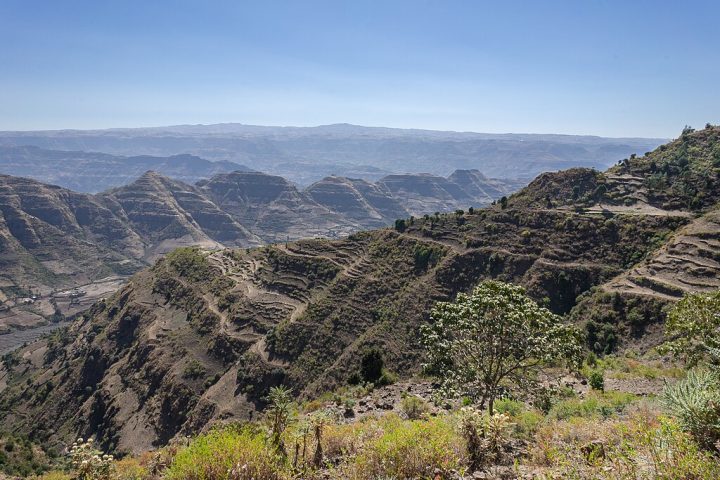 O clima na região de Afar é extremamente quente e árido, e a paisagem é dominada por desertos salgados e planícies vulcânicas. 